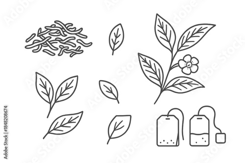 Tea Leaves and Tea Bags