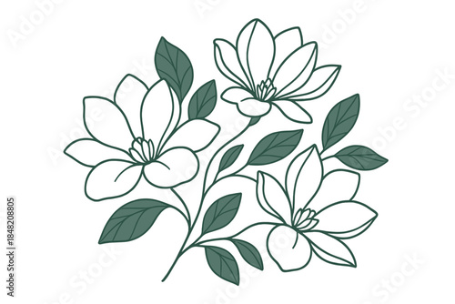 Magnolia floral outline on a gradient background