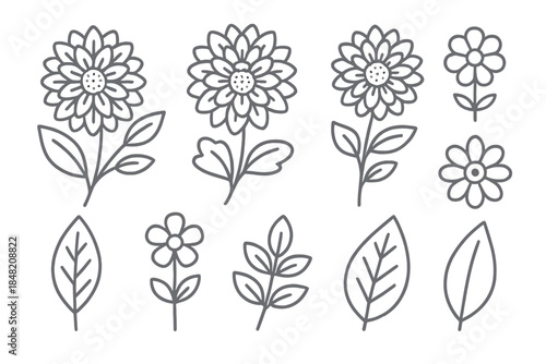 Outline floral and leaf elements on a dark background