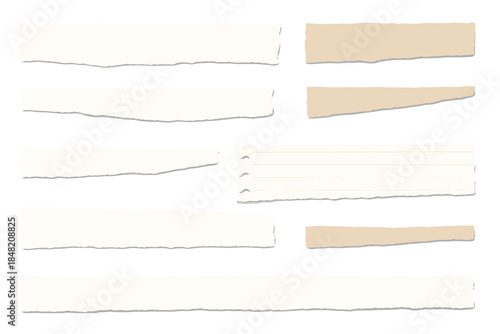 Collection of torn paper strips on a neutral background