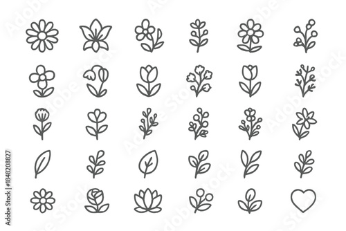 Collection of Outline Flower and Leaf Icons