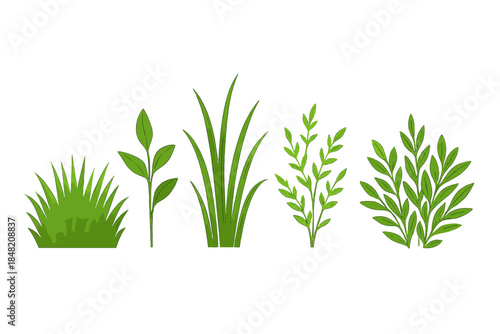 Green foliage silhouettes on a soft green gradient background