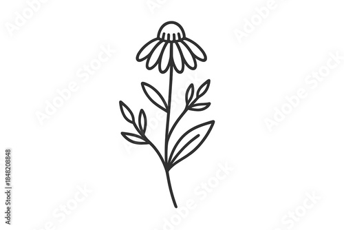 Outline of a flower with leaves on a gradient background