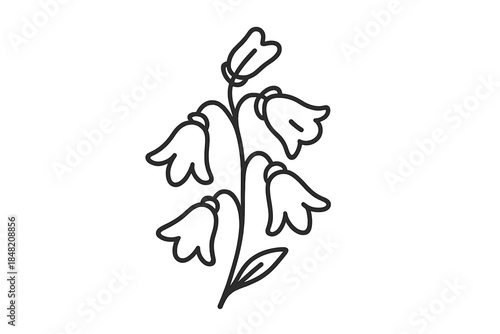 Line art of bellflowers against a gradient background