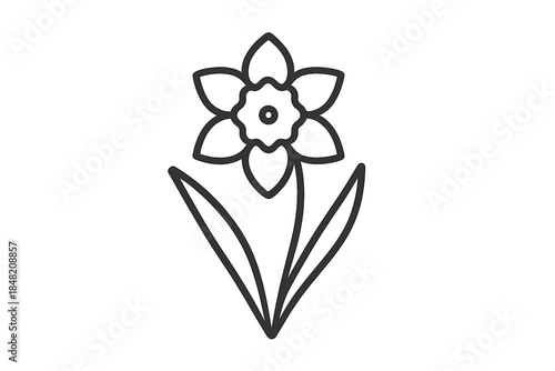 Outline of a Daffodil Flower with Leaves