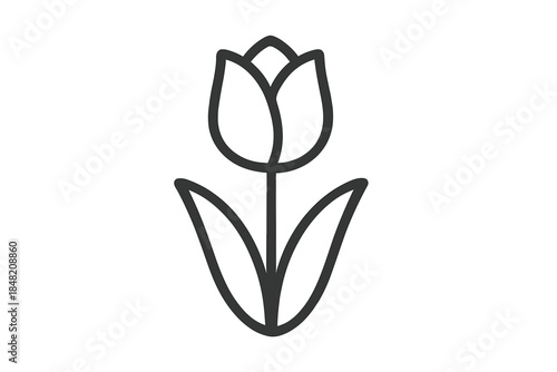 Minimalist Tulip Outline on Gray Gradient Background