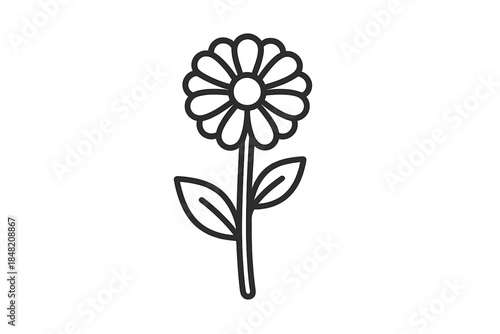 Simple outline flower against a gradient background