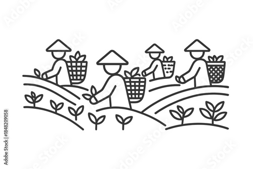 Farmers harvesting crops on terraces