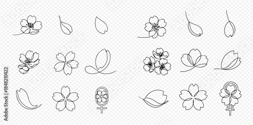 Set of minimalist cherry blossom flower and petal line art illustrations on transparent background.