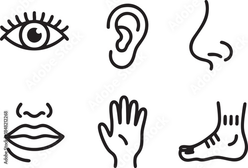 Six simple black line art icons of human sensory organs and body parts nose mouth