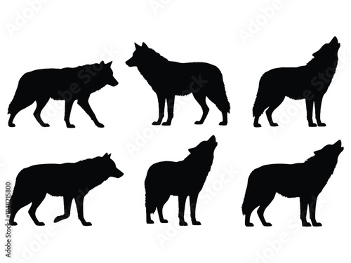 Silhouettes of wolves in various poses against a white background