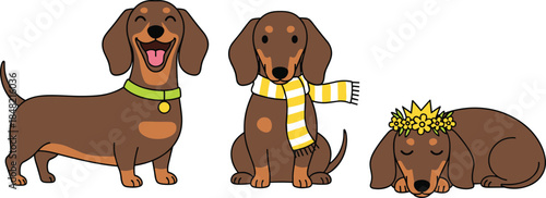 Cute dachshund cartoon dog characters set isolated on white background showing happy playful and sleepy poses pet illustration
