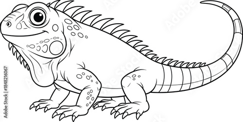 Cute iguana lizard line art illustration with detailed reptile outline isolated on white background black and white vector drawing
