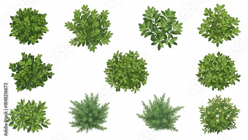 Variety of green plants and bushes for gardening and landscaping projects