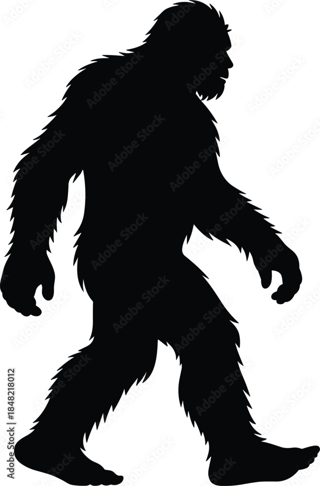 Fototapeta premium Black Silhouette of a Bigfoot Walking creature