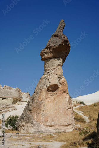 Fairy Chimney in Pasabag Valley, Nevsehir, Turkiye