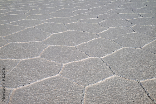 Polygonal Patterns in the Salt Flats