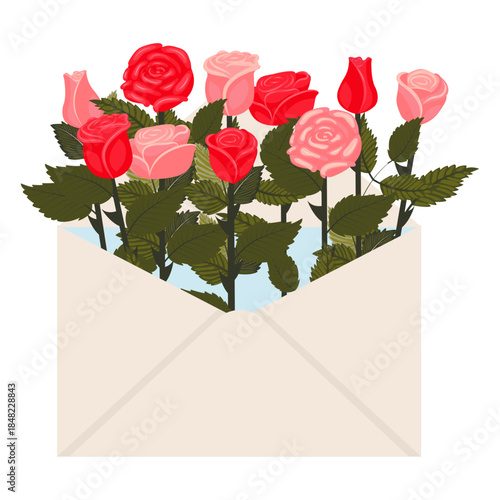 Bright red and pink roses in a postal envelope. Vector illustration on a white background.