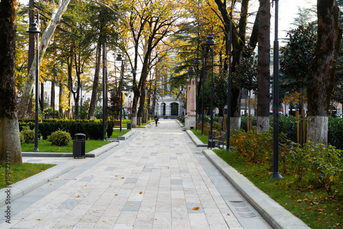 Strolling down a peaceful path lined with majestic trees in full autumn colors, families gather to enjoy the beauty of nature while creating cherished memories together.