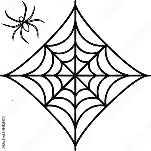 Black and white spider web with a spider
