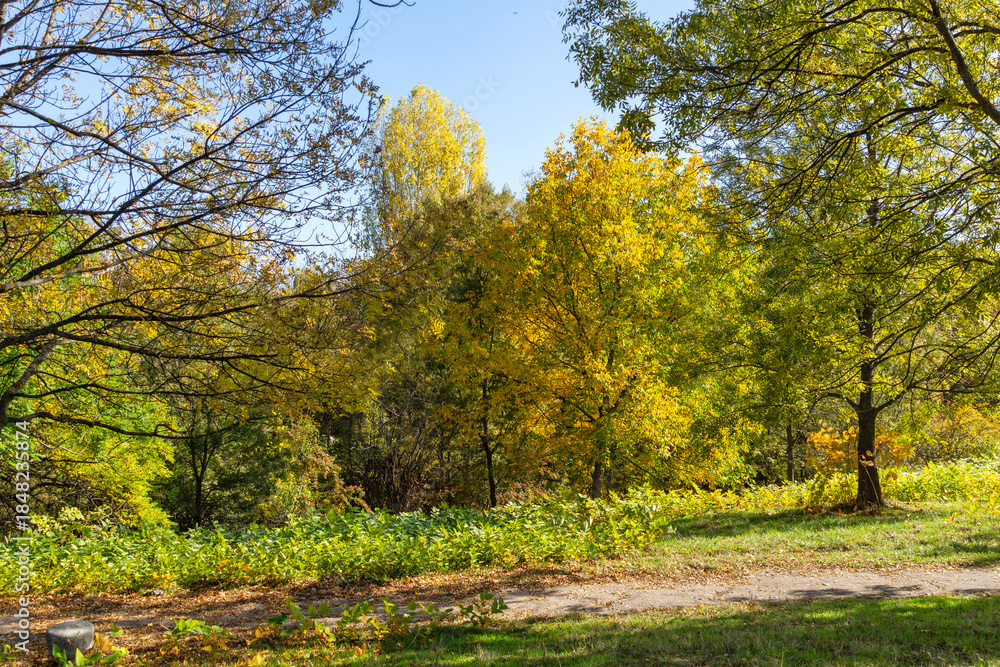 Obraz premium Autumn Landscape of South Park in city of Sofia, Bulgaria
