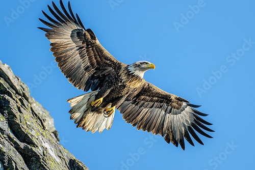 Majestic eagle soaring over snowy mountains high resolution picture
