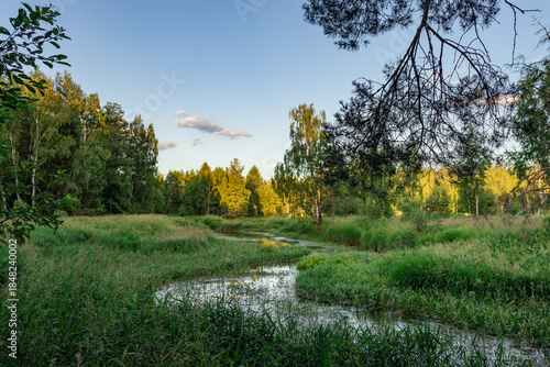 Lush green field with a small stream running through it