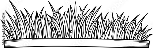 Grass line doodle. Outline grassland or meadow sketch, simple field design. Black grass brush stroke hand drawn texture for garden pattern or lawn. Herb marker vector isolated element