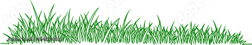 Grass line doodle. Outline grassland or meadow sketch, simple field design. Black grass brush stroke hand drawn texture for garden pattern or lawn. Herb marker vector isolated element