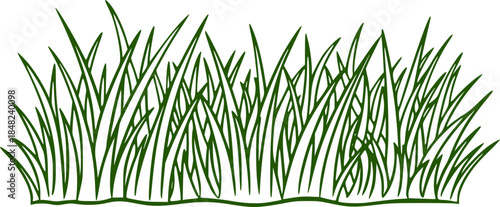 Grass line doodle. Outline grassland or meadow sketch, simple field design. Black grass brush stroke hand drawn texture for garden pattern or lawn. Herb marker vector isolated element