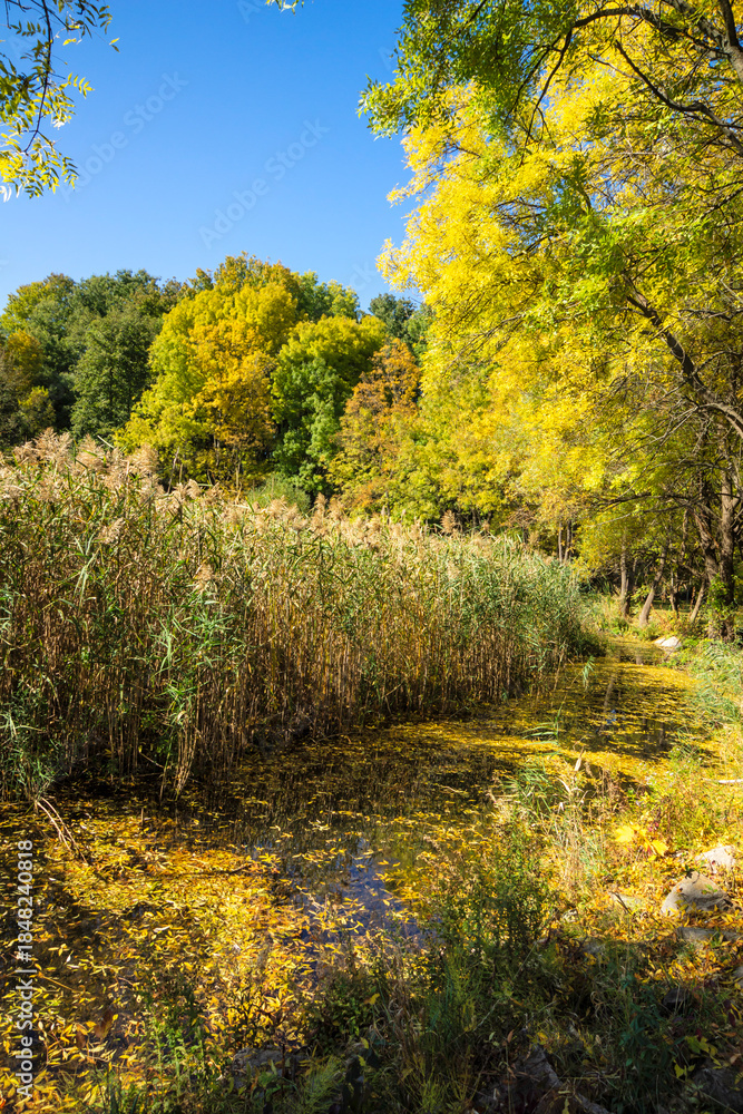 Naklejka premium Autumn Landscape of South Park in city of Sofia, Bulgaria