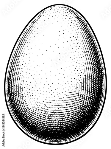 a black and white drawing of an orange or an egg, black, drawing, egg, engraving, illustration, orange, picture, show, against transparent background