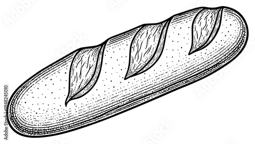 a drawing of a long loaf of bread, black, bread, drawing, feather, illustration, loaf, long, against transparent background