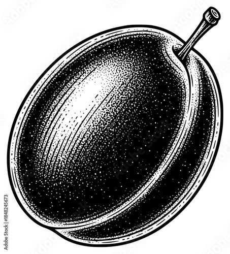 a black and white illustration of a plum fruit, black, drawing, engraving, illustration, against transparent background