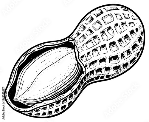a black and white drawing of a badminton racket, black, drawing, illustration, picture, sketch, against transparent background