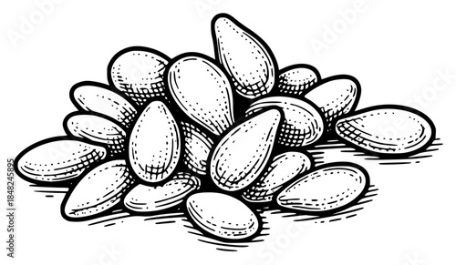 a bunch of peanuts or nuts with shells and seeds, sketch style, hand drawn and isolated on , almond, black, illustration, nut, peanut, seed, shell, against transparent background