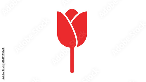 red feather isolated on white