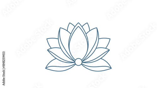 white lotus flower