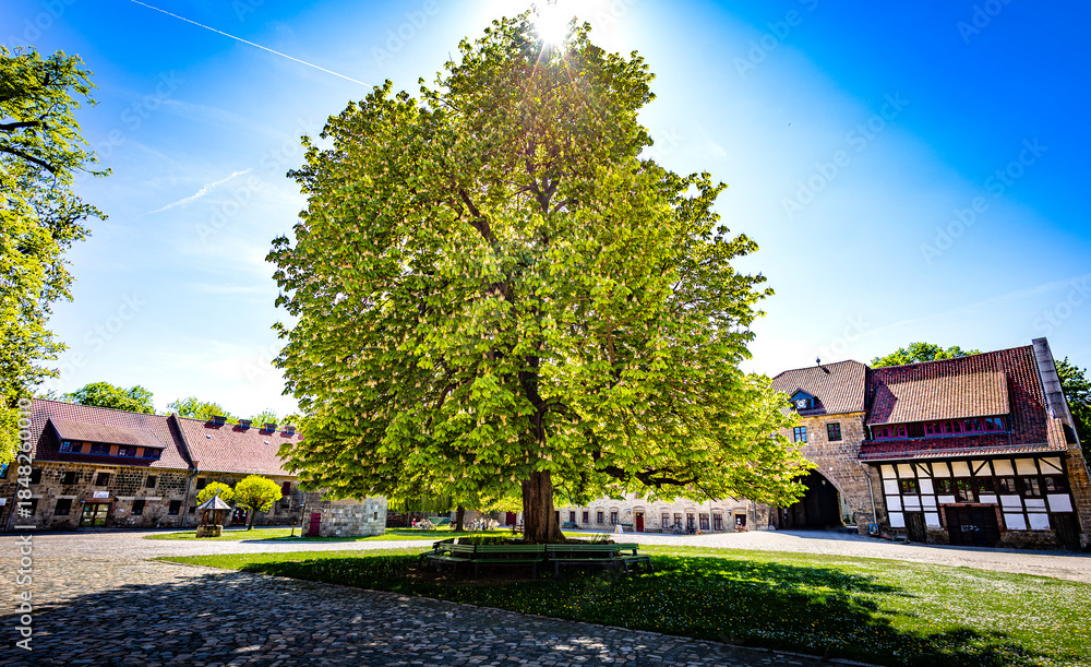 Obraz premium Kloster St. Burchardi 