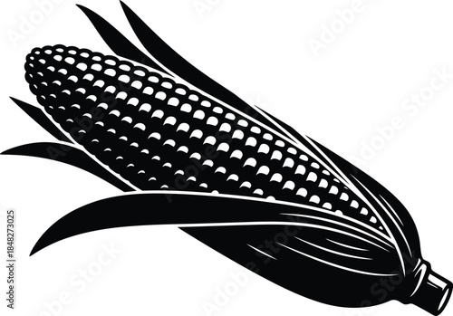 Detailed corn cob illustration with husk leaves on transparent background silhouette