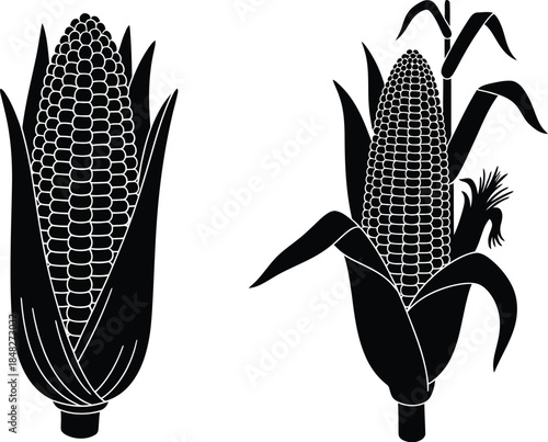 Two corn cobs with husks and leaves black silhouette on transparent background