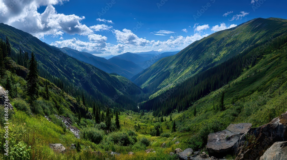 Fototapeta premium Lush Green Valley with Dense Forest Under Blue Sky and Fluffy White Clouds in Bright Daylight Scenic View