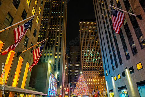 Canvas Print New York winter cityscape with holiday decorations