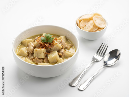 Premium Food Photography of Ketupat and Opor Ayam Isolated