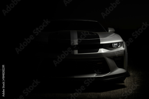 Photography 2017 6th gen Chevy Camaro Fine Art Portrait silver with black stripes