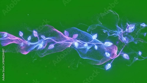 Soft pink pulsations ripple through water lilies on serene pond at dawn with pulsating energy wave flowing across effect green screen