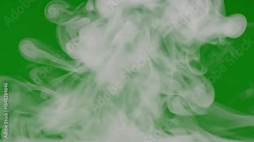 Emerging Tree Silhouette Against Gradient Fog with ethereal mist swirling slowly on effect green screen fog and mist style featuring