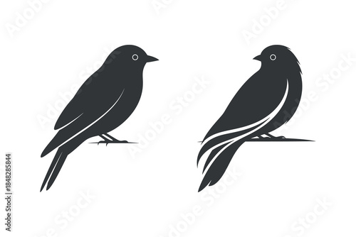 Two black birds perched on a branch, facing opposite directions, depicted in a minimalist illustration style.