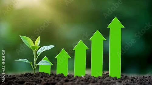 A green plant grows beside a rising arrow bar chart, representing sustainable growth, organic progress, and long-term development driven by stability, resilience, and eco-aligned business strategy.