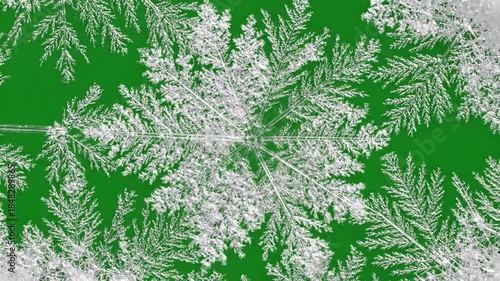 Intricate Ice Crystal Growth with intricate ice crystal formations growing effect ad_ready green screen ice crystals style featuring